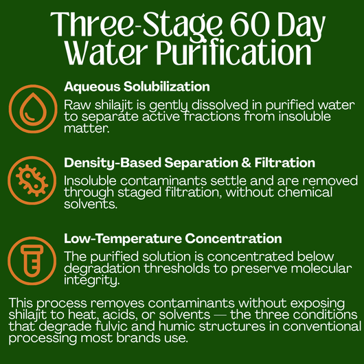10 - in 1 Alpha Shilajit Gummies - Nexora