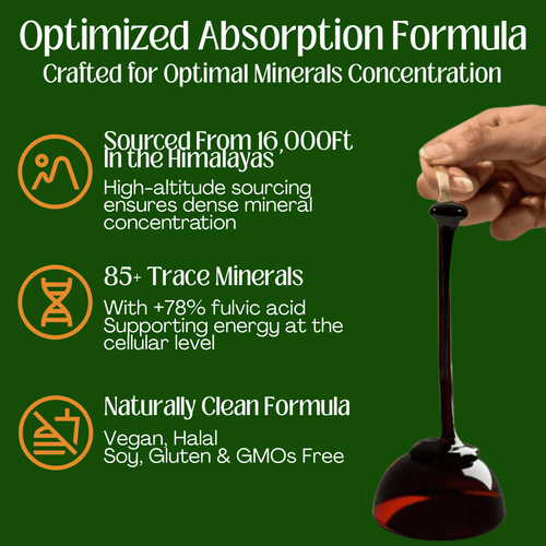 Gummies Shilajit 10-en-1