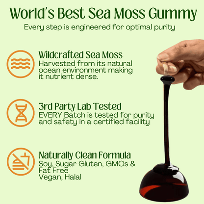 3 - in - 1 Sea Moss Gummies - Nexora