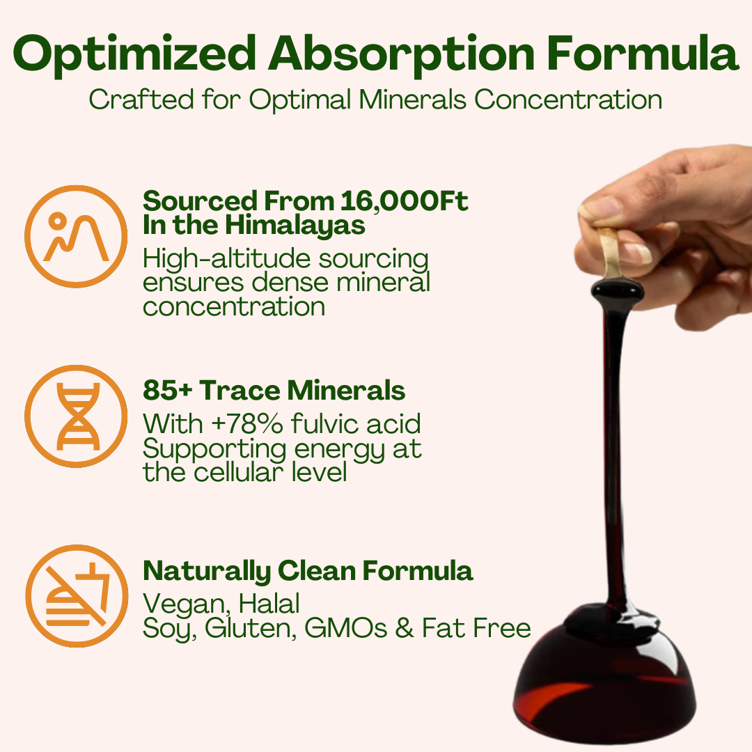 10-in 1 Alpha Shilajit Gummies