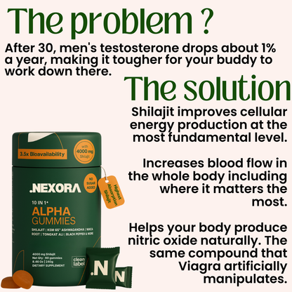 10-in 1 Alpha Shilajit Gummies